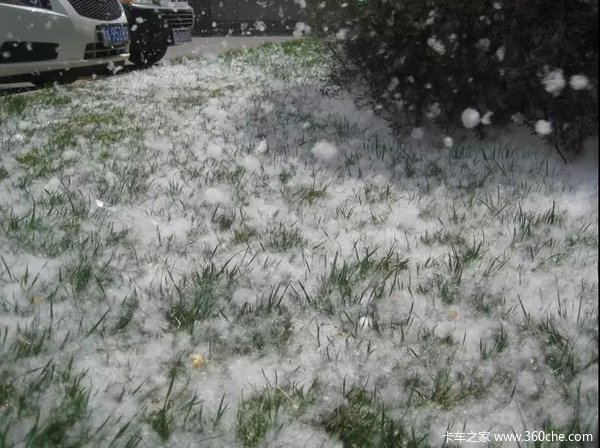 用车5月"飞雪"杨絮满天飞当心车开锅