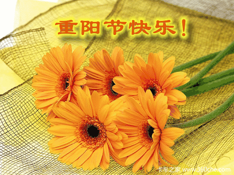 保定正大祝您重阳节快乐