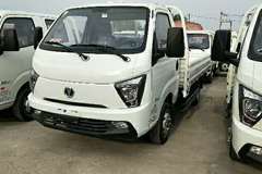 优惠0.5万 缔途DX载货车火热促销中