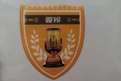 整车包牌安徽康明斯发动机5年不限里程延保