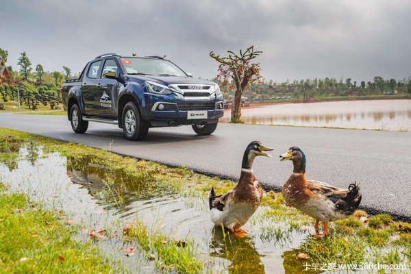 ��D-MAXƤ�� ���ߴ�0.5���Ż�