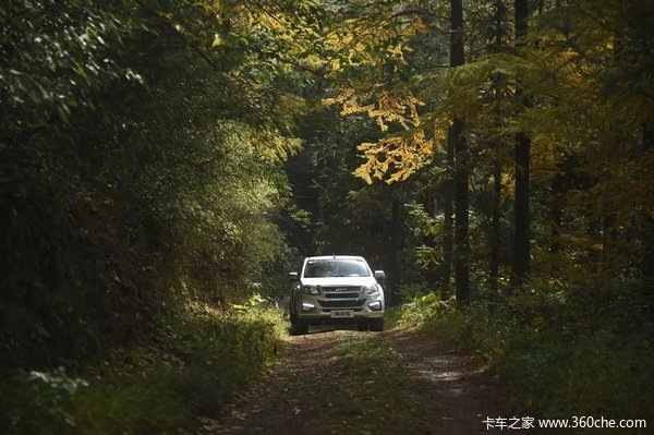 ���Ž�����ʮ������Ƥ����ʱ������ �Ż�0.3��