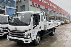 新车到店 武汉市福星S系(原福运S系)载货车仅需7.68万元