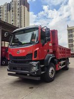 东风柳汽 新乘龙M3 270马力 4X2 4.7米自卸车(LZ3181M3AC1)