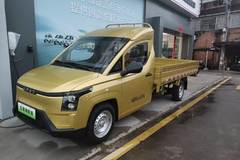 黄金小卡超值版 撘配比亚迪刀片电池