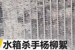 龙哥说车辆使用小常识（二十三）——做好水箱保养，不愁卡车散热