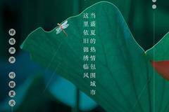 小暑 |  蝉鸣声声   叫醒夏日