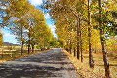 秋季天气复杂多变，路上行车该注意什么