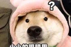 在乡村，老铁们为什么更中意这台小卡？致富发展、建设经济选它准没错