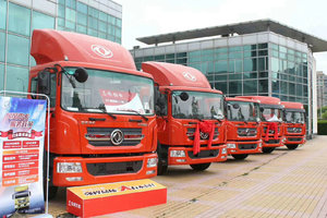 �Ϻ�ɭ������������ؼ۳���������D9���۸����