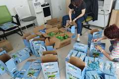 端午粽情 ---内蒙古德赢伴您“粽”享安康