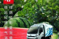 小暑| 绿荫轻影夏渐盛，微风轻拂暑气消