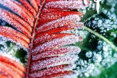 康铃恺达，高端轿卡。。。。。。。。。。