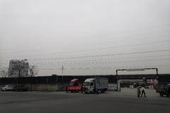 德行万里 龙腾天下 安庆叶祠物流园定展活动