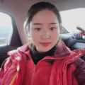 陈凤