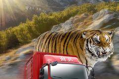 解放轻卡，八档爬山虎，虎入重山，如履平川