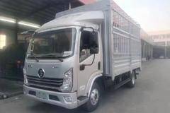 优惠1万 深圳市德龙K3000载货车火热促销中