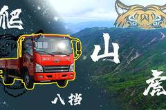 虎年开爬山虎 8挡箱蓝牌轻卡让你上山高速游刃有余 