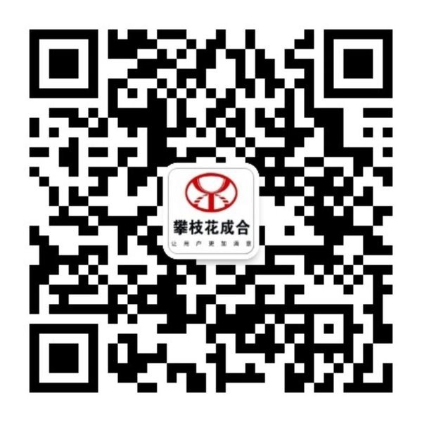 攀枝花成合青岛解放JH6牵引车 现车火热销售中