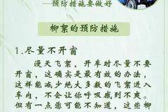 春季行车最怕什么？这样才能保证水箱不被柳絮“封口”