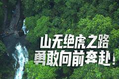 一汽解放轻卡-山无绝虎之路，勇敢向前奔赴！