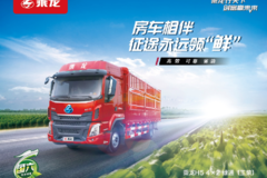 乘龙H5——22款6缸6米8绿通载货车