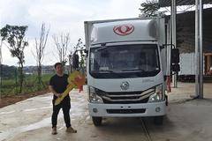 恭喜梁老板 喜提多利卡D6载货车 马达一响 黄金万两