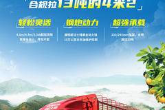 东莞江淮德沃斯中卡|合规拉13吨的4米2