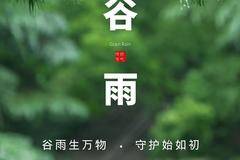 雨润百谷焕新生， 生活向暖夏将至。 