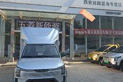 降价促销 黄金卡电动载货车仅售9.05万