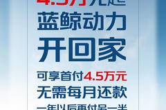 新乡长安皮卡首付一半，一年后再付另一半，解决资金困难