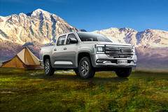 大道皮卡黄石市火热促销中，进店享多重好礼！