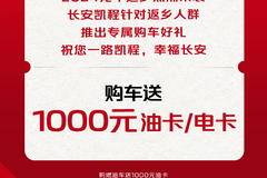 “购车送千元油卡”/“购车送千元电卡”