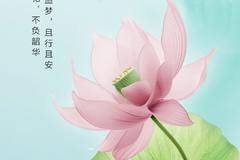 立夏丨乘龙追梦，且行且安......