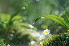 雨水润春万物新生 #中国骏铃 与广大卡友共赴盎然春之旅