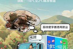 告别人困马乏荔枝坏，拥抱高效锁鲜北极熊