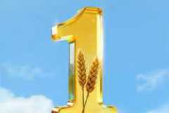 #金秋焕新季·福利再升级 ⫸江淮1卡· 1号伙伴欢乐购⫷