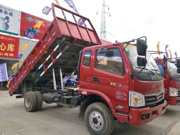 �������� �����³�Xϵ��ж������11��Ԫ