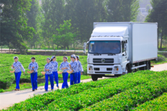 月季促销嘉兴购东风天锦箱车减0.4万