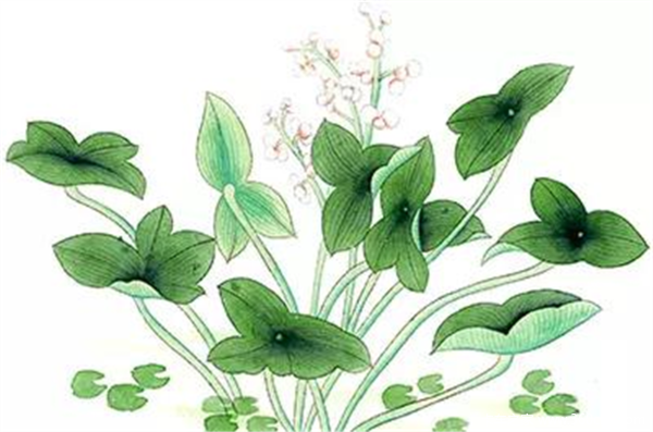 福田微卡时代驭菱VQ1，强者自强