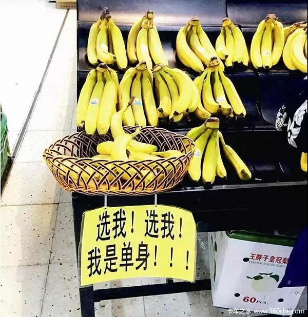 高手在民间要拜师了