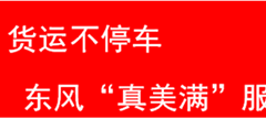 “双十一”货运不停车，东风“真美满”