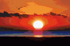 你是我的眼，带你看到更远、更安心的