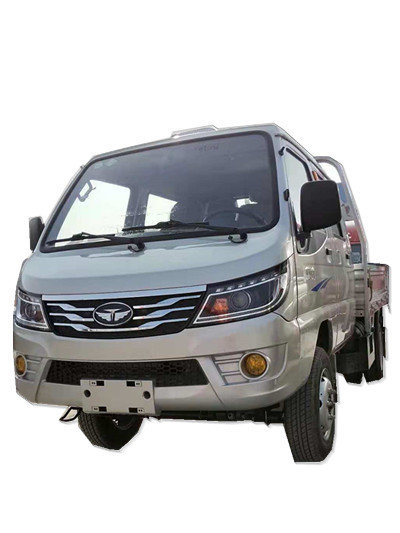 赛菱f3两用燃料载货汽车新车抵达宁津县天力农业机械有限公司(唐骏