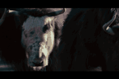 全新大马力创虎 给你前所未有的安全感