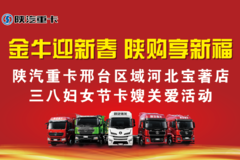 金牛迎新春 陕购享新福 邢台区域河北宝著店三八妇女节卡嫂关爱日