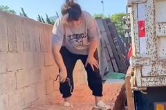 94年女生开货车，一天搬砖8000块，网友：她努力生活的样子真美