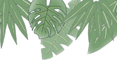 品味城市轻旅滋味第二味，江西五十铃城市轻旅驾期开启嘉兴之旅