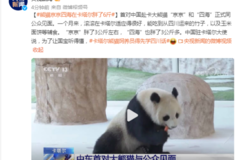 跨越千山万水，送“四海”“京京”出门的娘家人原来是TA！