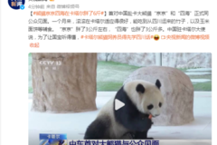 跨越千山万水，送“四海”“京京”出门的娘家人原来是TA！